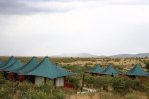 AA Lodge Mara
