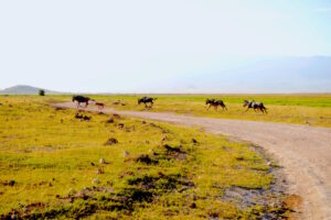 Alaskan World Adventures 17