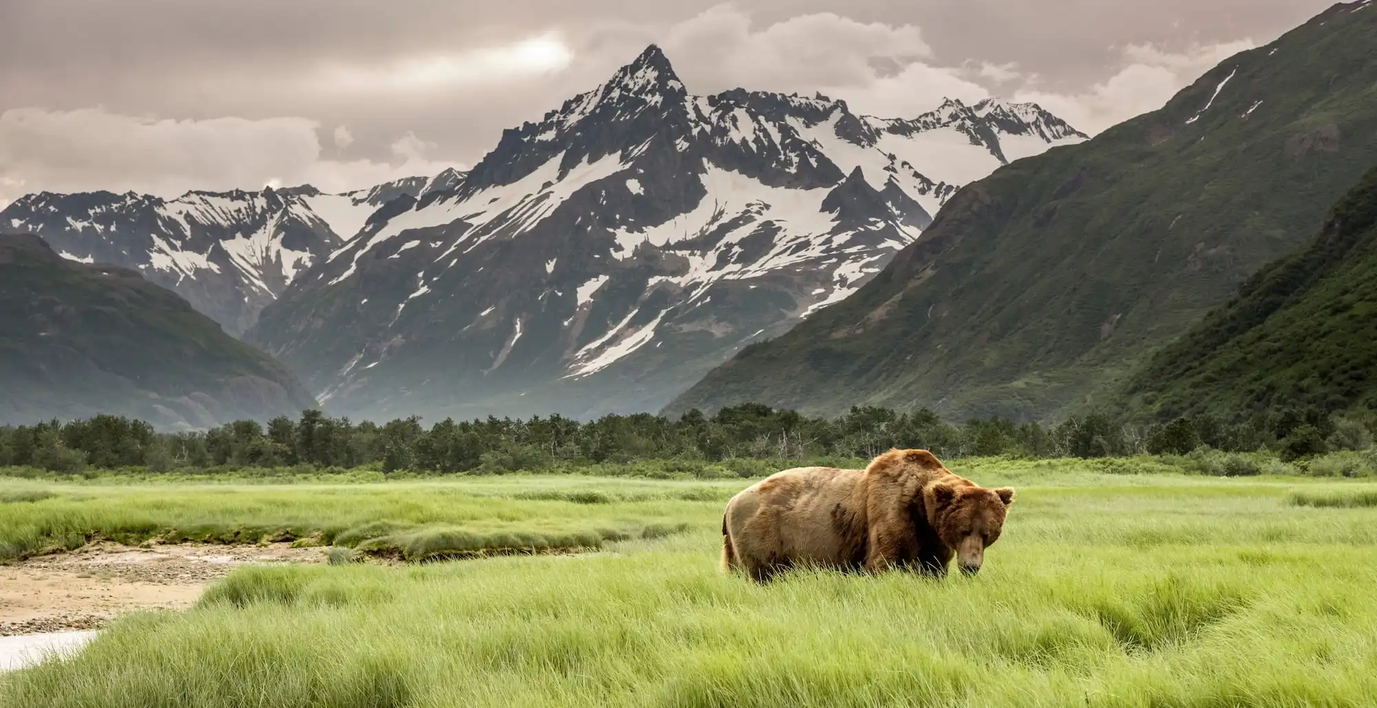 Denali National Park, Alaska