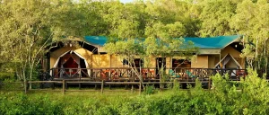 Fairmont Mara Safari Club