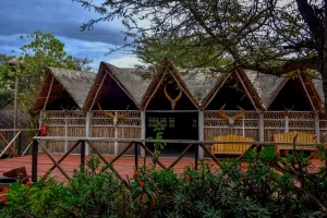 Mara Chui Resort, Sekenani