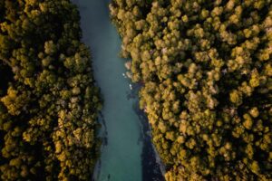 Alaskan World Adventures 34