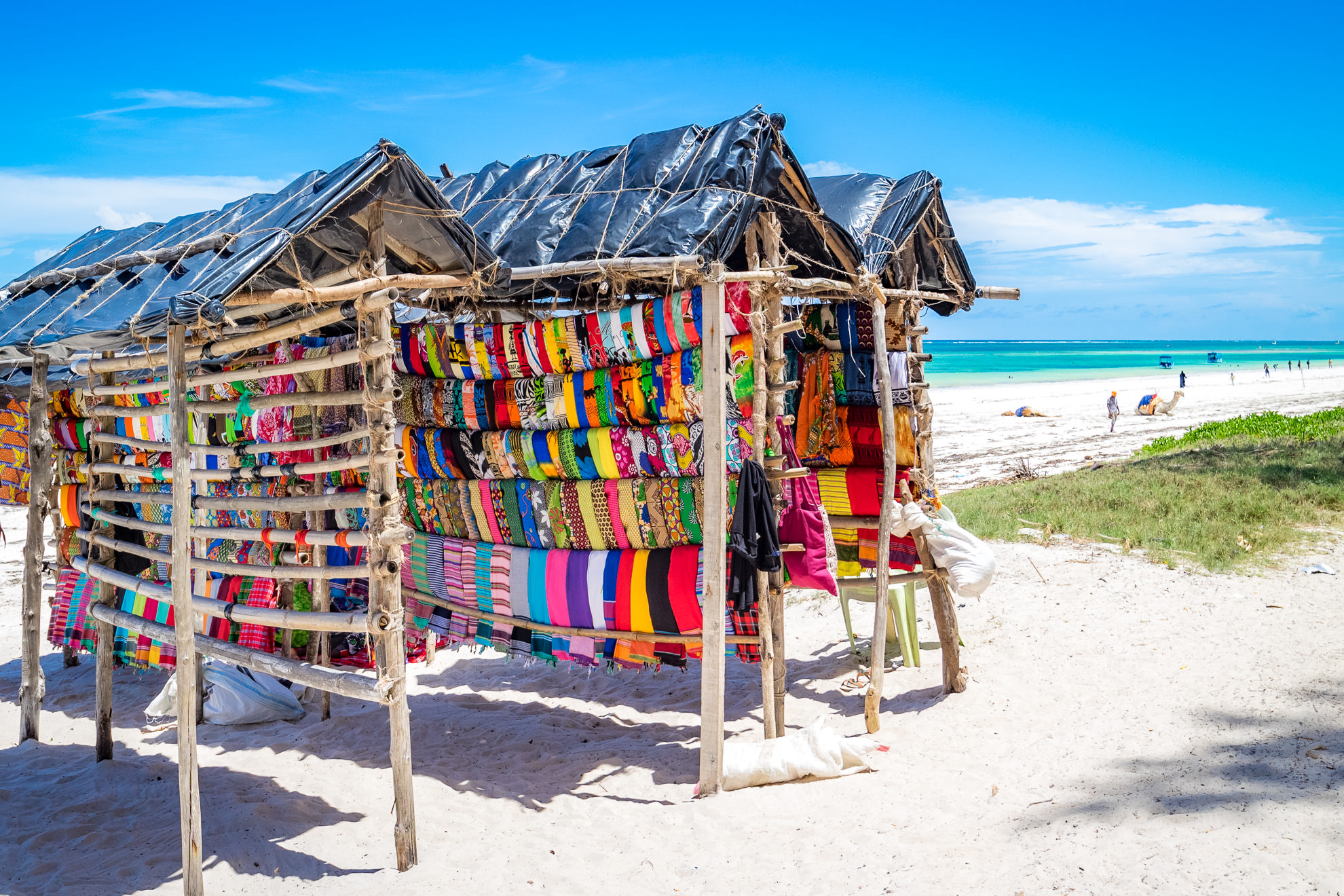 Alaskan World Adventures