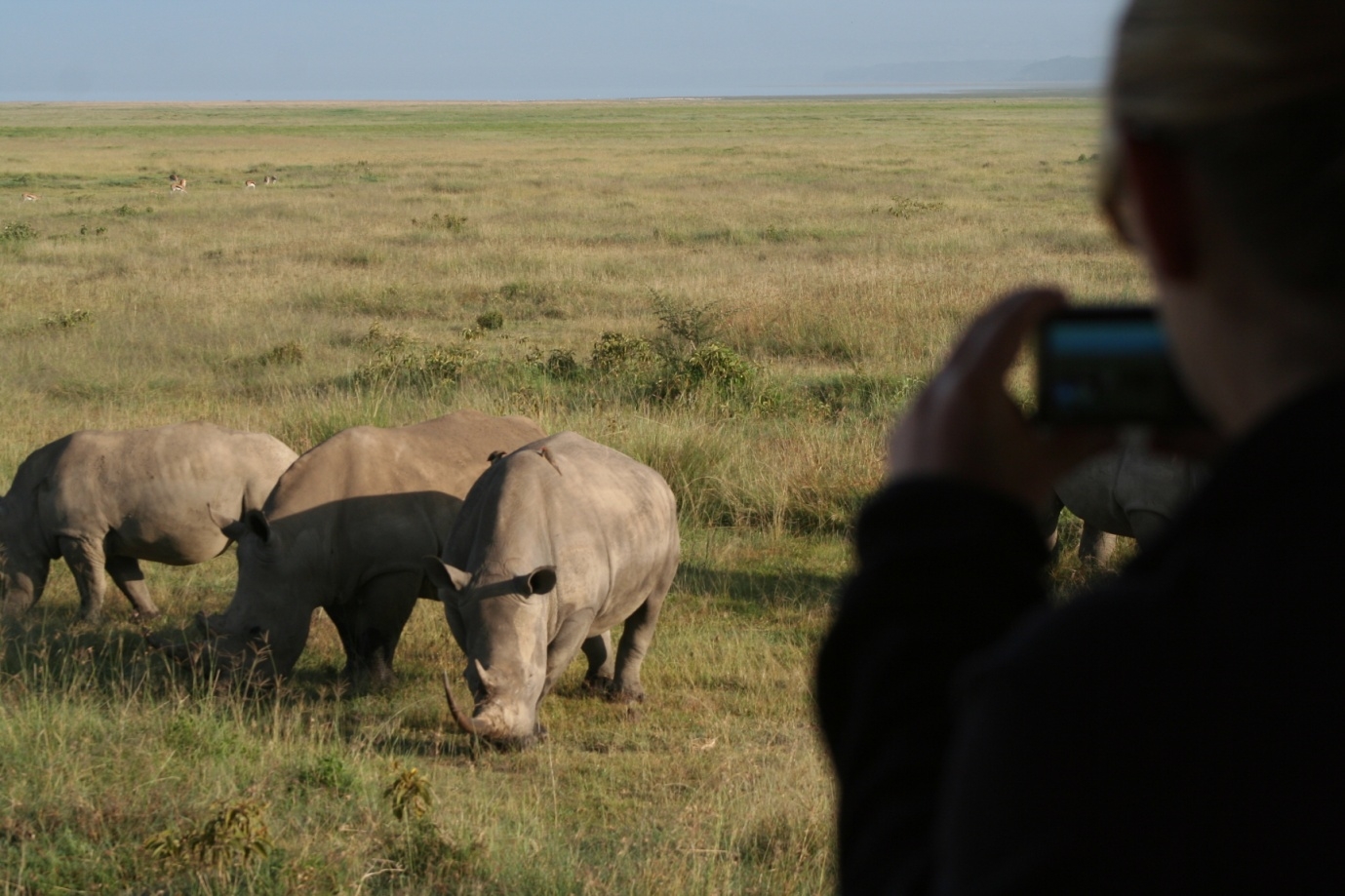 Alaskan World Adventures