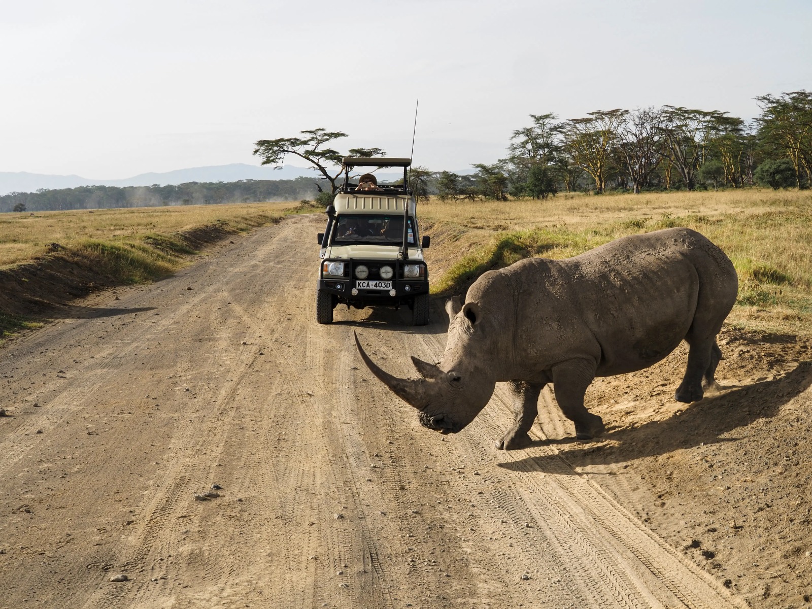 Alaskan World Adventures