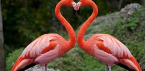 Alaskan World Adventures 13