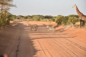 Alaskan World Adventures 13