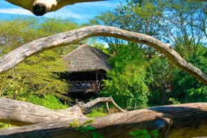 Mara Simba Lodge