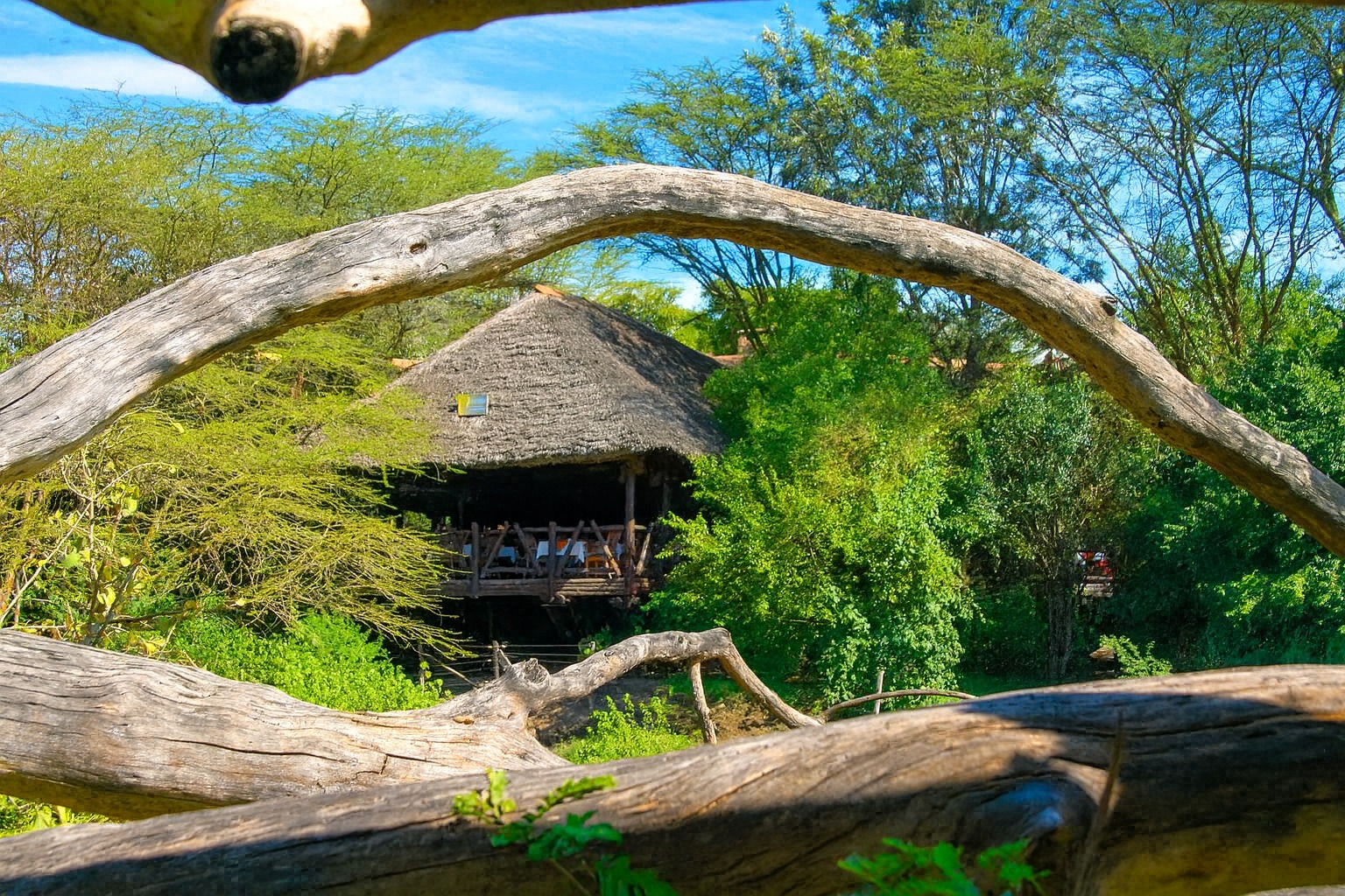 Mara Simba Lodge