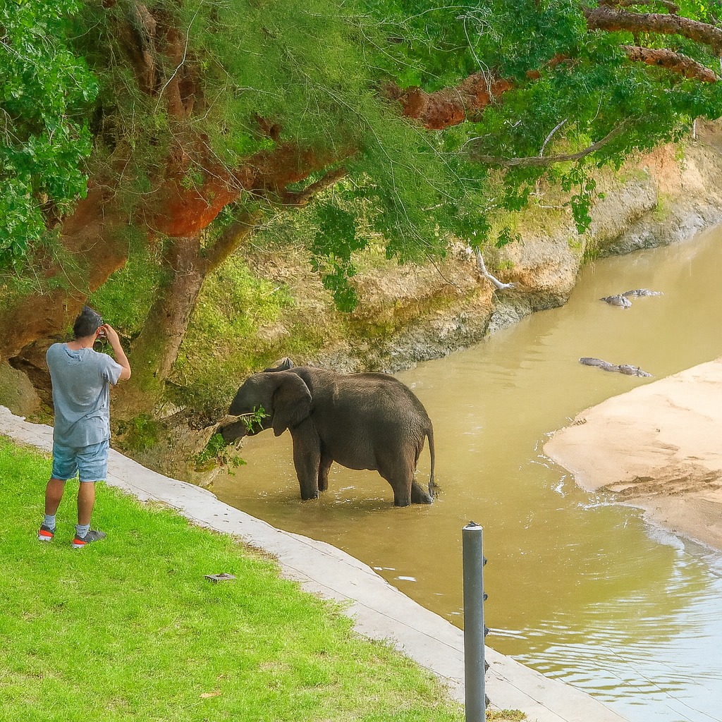 Alaskan World Adventures