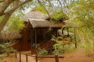 Alaskan World Adventures 17