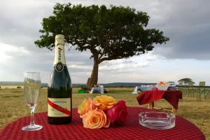 Alaskan World Adventures