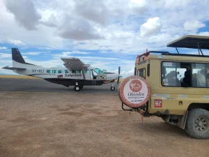 Alaskan World Adventures