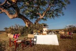 Alaskan World Adventures