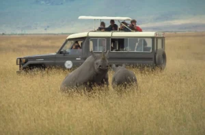 Alaskan World Adventures