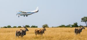 4-Day Fly-In Maasai Mara Safari