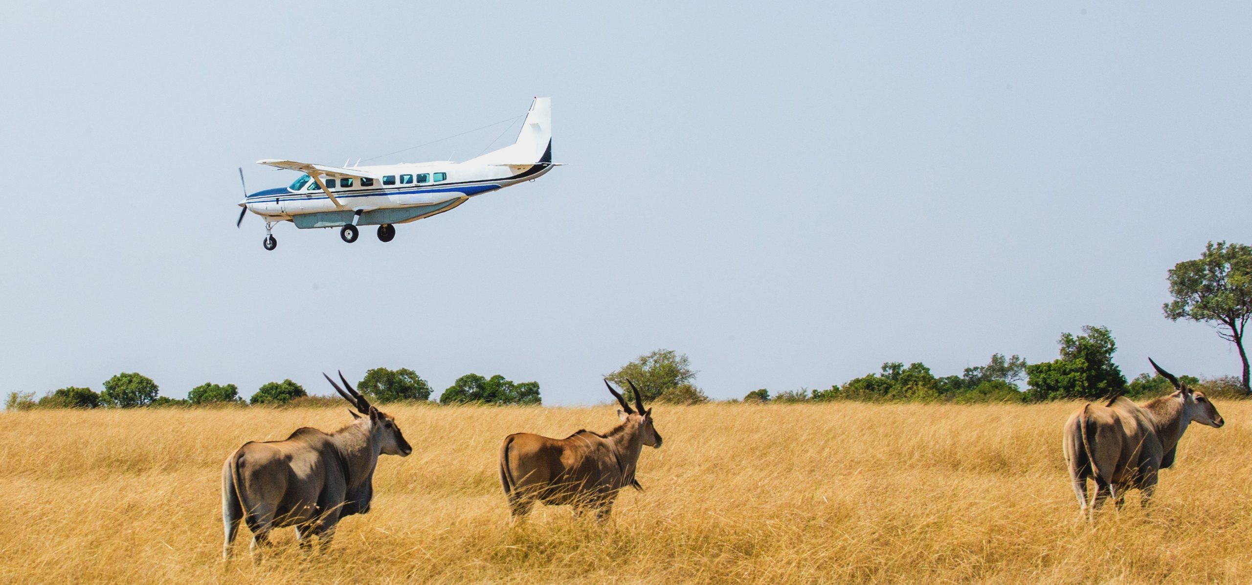 4-Day Fly-In Maasai Mara Safari