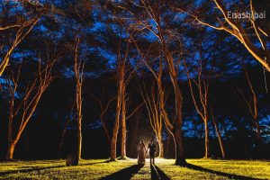 Alaskan World Adventures 31