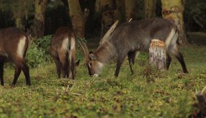 Alaskan World Adventures 23