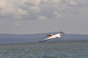 Alaskan World Adventures 23