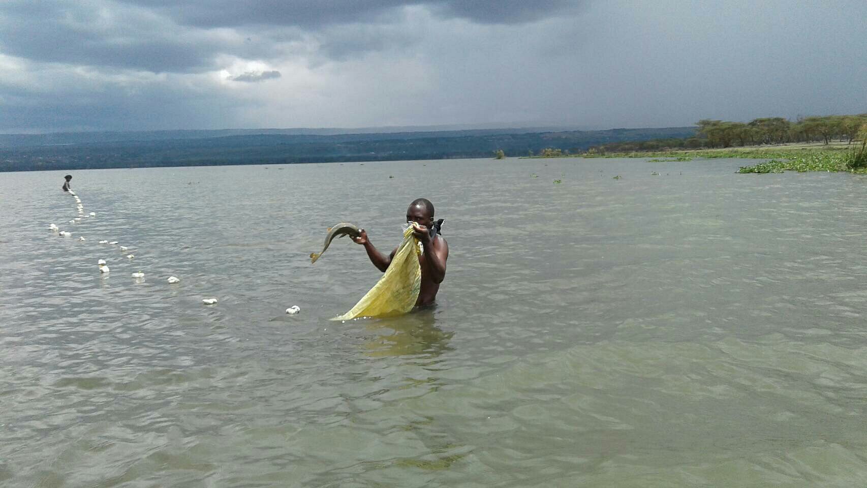 Alaskan World Adventures