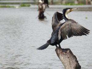 Alaskan World Adventures 23