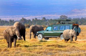 2-Day Maasai Mara Budget Safari