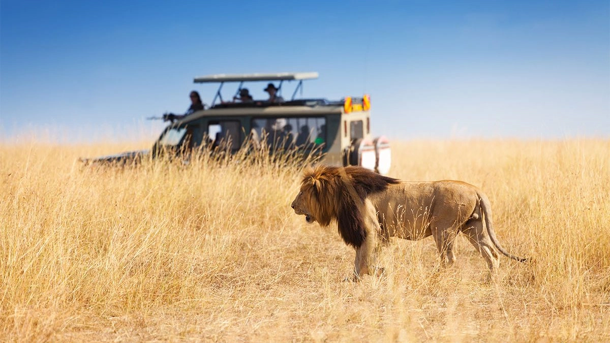 3-Day Budget Camping Safari in Maasai Mara