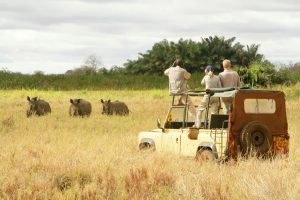 7-Day Kenya Highlights Safari | Nairobi – Maasai Mara – Nakuru – Amboseli