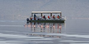 Alaskan World Adventures