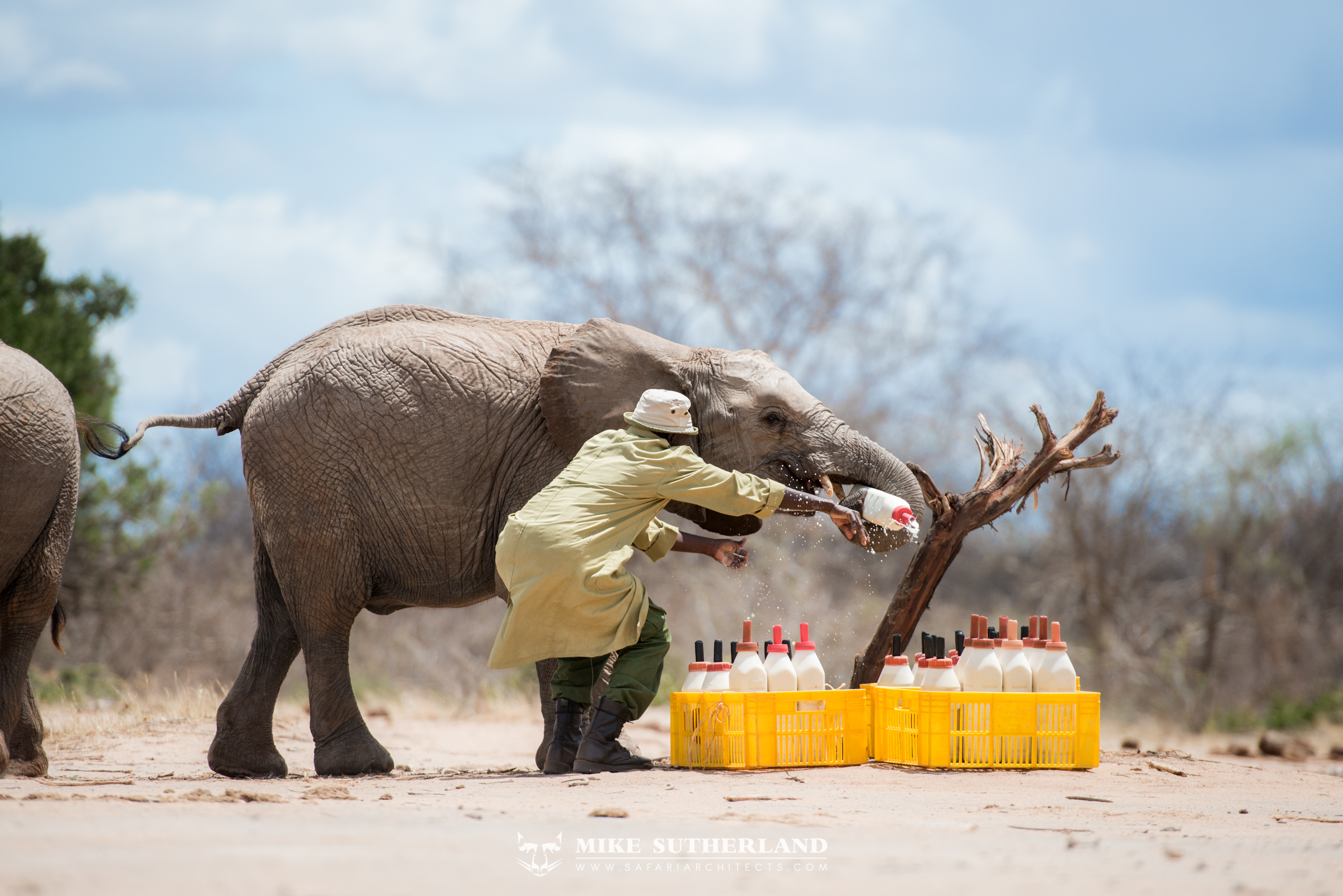 David Sheldrick Wildlife Trust Nairobi