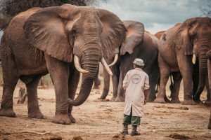 Alaskan World Adventures 25