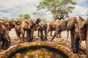 Alaskan World Adventures 25