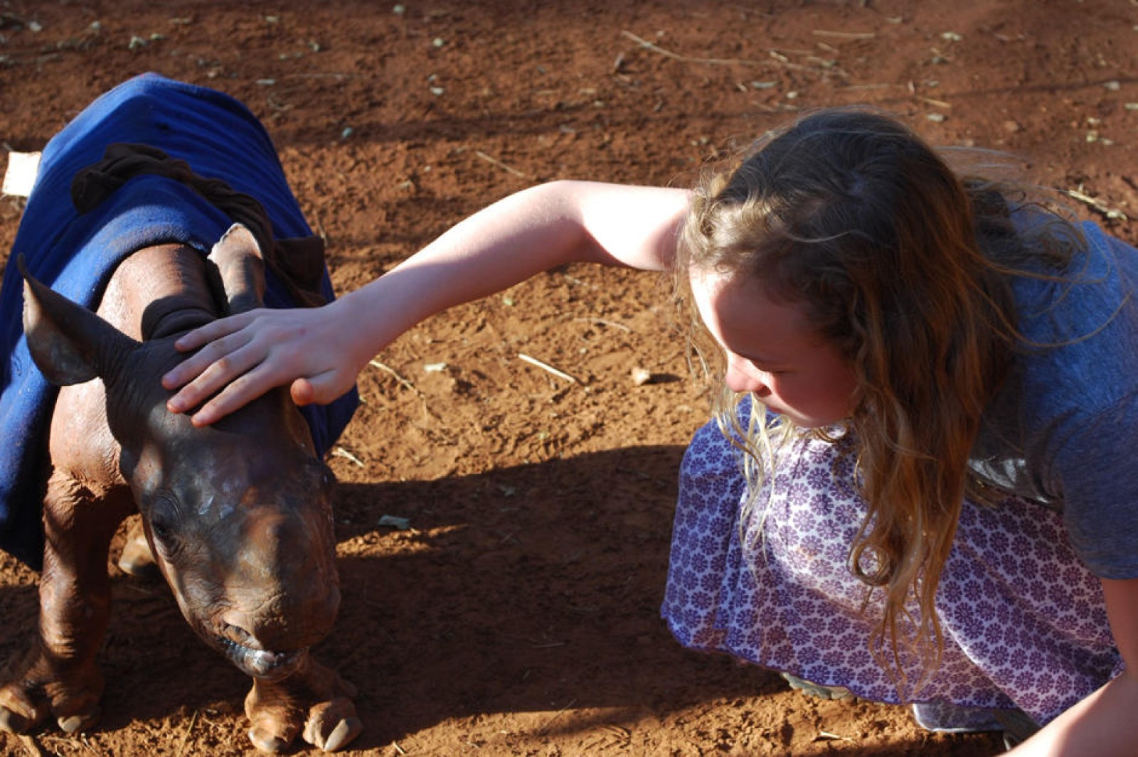 Alaskan World Adventures