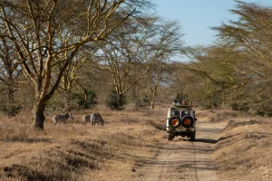 Alaskan World Adventures