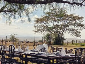 Alaskan World Adventures