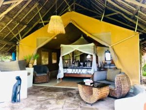 Alaskan World Adventures