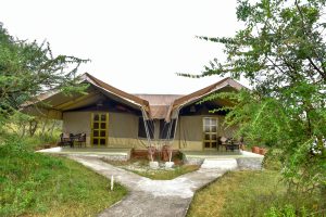 Alaskan World Adventures