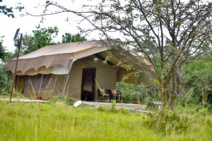 Alaskan World Adventures 15