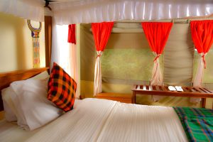 Alaskan World Adventures