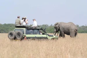 Alaskan World Adventures