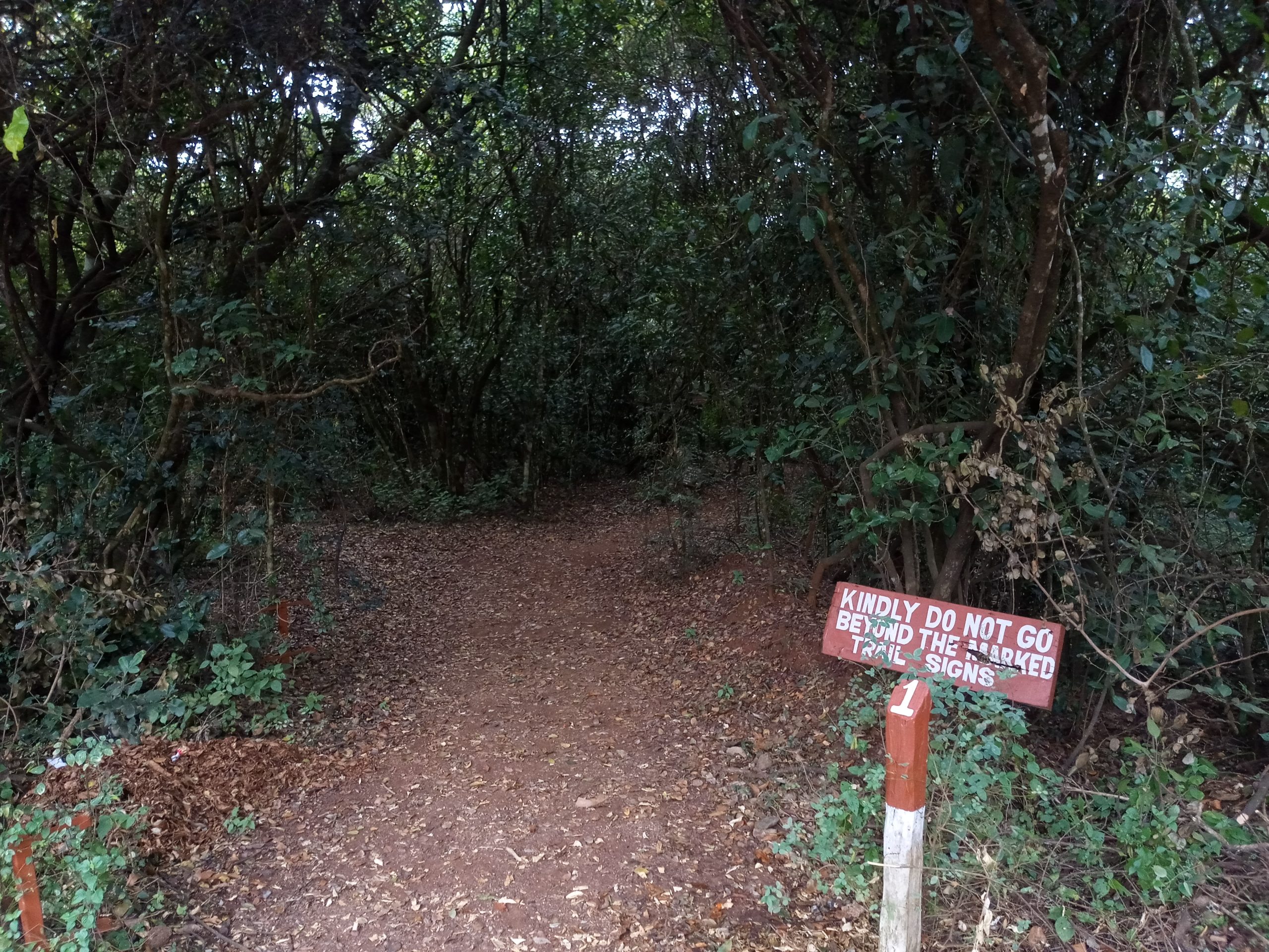 Alaskan World Adventures