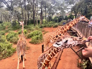 Alaskan World Adventures 21