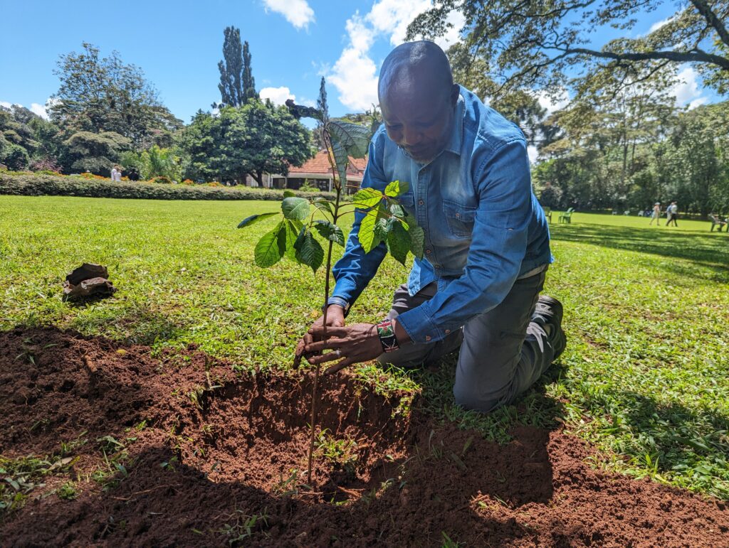 Alaskan World Adventures