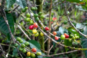 Alaskan World Adventures 27