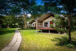 Lake Naivasha Crescent Camp