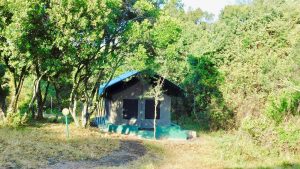 Alaskan World Adventures 12