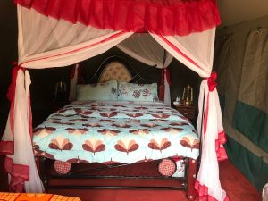 Alaskan World Adventures 12