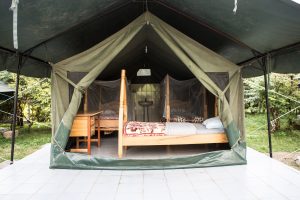 Alaskan World Adventures