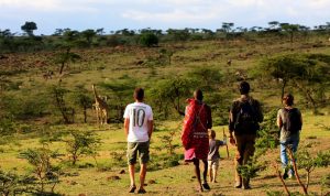 Alaskan World Adventures